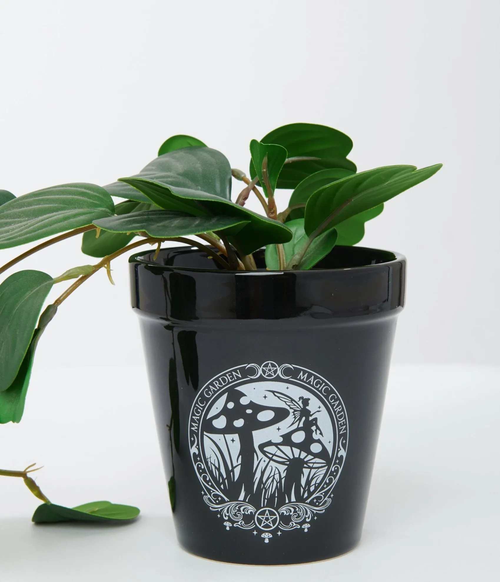 Unique Vintage Black Magic Garden Plant Pot Clearance